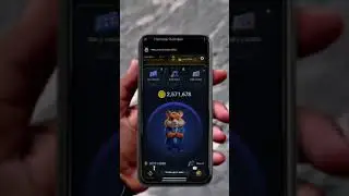 Hamster scam