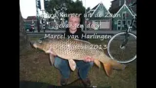 Wormerveer, record Karper uit de Zaan, 10 augusutus 2013