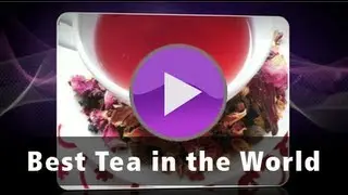 Best Tea in the World