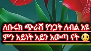 ለቡሩክ ጭራሽ የንጋት ሀብል አይ ምን አይነት አይን አውጣ ናት 😥❌ አንድ ሰው ለእናንተ ቤተ ከሌላው በግድ እእ
