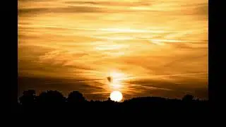 Unwind and Unplug: 15 Minutes of Incredible Mind Relaxing Music