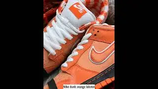 Nike SB Dunk Orange Lobster in the store FD8776-800