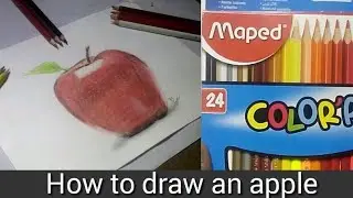 Review of maped colour pencil box