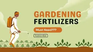 DAP & Epsom Salt Unboxing for Plants | Gardening Fertilizer Review | ASMR Gardening #asmr #garden 