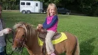 Pony Rides Petting Zoo Rentals Kids Birthday Party Los Angeles! 888 501 4FUN