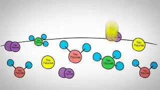 Accelerate Materials Innovation