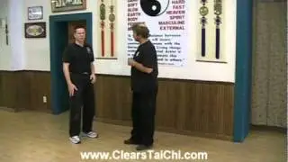 Combat Tai Chi Strum the Lute