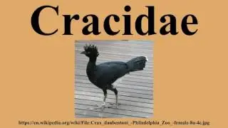 Cracidae