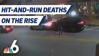 Hit-And-Run Deaths on the Rise in Florida