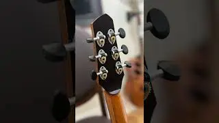 Boucherau Mistral C12  #guitar  #acousticguitar #brickhouseguitars