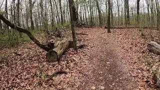 Oscar's Loop Trail to Water Tower