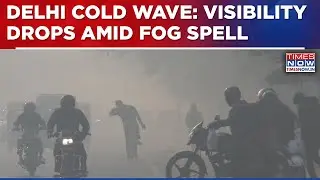Delhi Cold Wave: Dense Fog Blankets Capital, Travel Advisory As Visibility Down To Near Zero | Watch