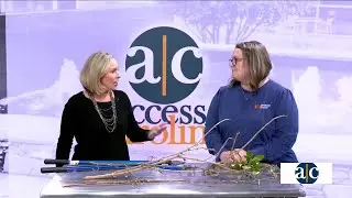 Online gardening course offered through Clemson Extension