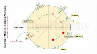 Bleeding Time Determination | Bleeding Time Estimation | What is Your Bleeding Time  (ENGLISH)