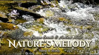 Music & Gentle River Sounds | 8 Hours of Relaxing Nature for Insomnia, Stress Relief