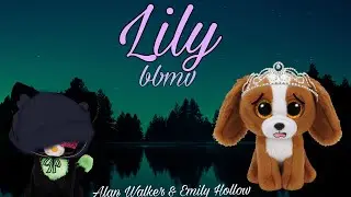 Lily BBMV