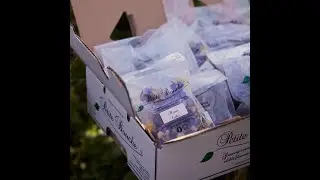 TIPA x Export Fresh - Home compostable packaging for wild herbs, edible flowers and rare greens.