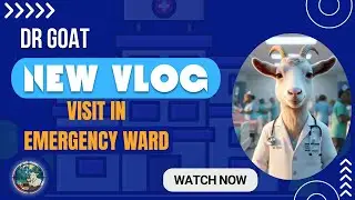 AI Dr Goat Visit Emergency Ward Dr Goat in Emergency Ward | دوا کا درست استعمال | Health Awareness