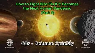 60S - Science & Life - Ep#70 - Part# 03: How to Fight Bird Flu If It Becomes the Next Human Pandemic