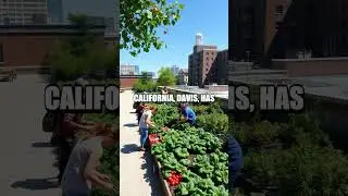 Sustainability Initiatives at U.S. Universities