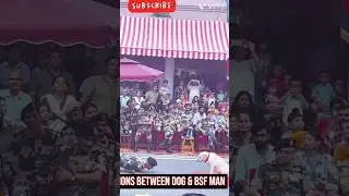 . Unbreakable Bond Between BSF Jawan & Dog #youtubeshorts #love #viralvideo
