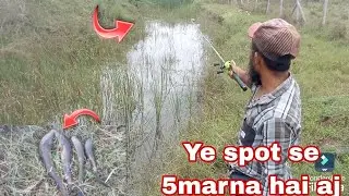LIVE ATTACKING SNAKEHEAD FISH BACK TO BACK || SNAKEHEAD FISHING || FISHING VIDEOS