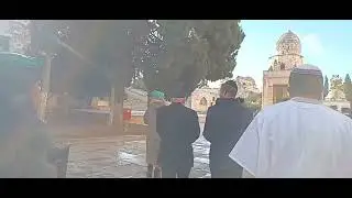 Twelve Tribes of Israel are Returning - Torah on Temple Mount Har HaBayt