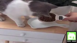 Pet Food Measuring Scoop