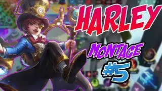 Harley Montage #5 | Harley Best Build | Montage Harley