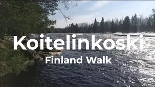 Finland Walk | Koitelinkoski Rapids Walk, Oulu（フィンランド）｜自然音のみ・無言散歩