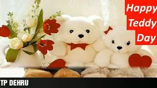 Teddy day status 2019 ##best whatsapp status ##teddy day 10feb 2019