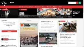 Pin WordPress Theme - Menu Setup
