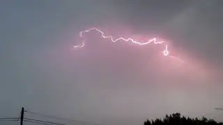 Naturaleza viva parte 2