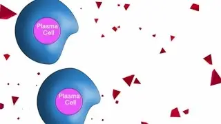 Darzalex (Daratumumab) a Promising New Immunotherapy for Multiple Myeloma  Cancer