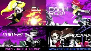 2NE1 - HATE U MASHUP 2011