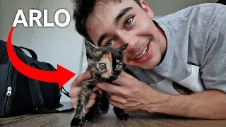 Meet my New Kitty :)