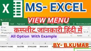 COMPLETE MS EXCEL VIEW MENU IN HINDI