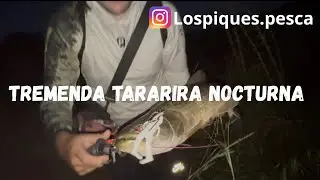 🎣TREMENDA TARARIRA NOCTURNA 🔥🐊 - PESCA CON SE&Ntilde;UELO - LOS PIQUES PESCA ♻️