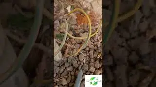 *בדיקת הארקה ושיפורה*