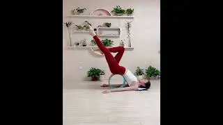 Yoga For Complete Beginners | Full Body Gentle Flow