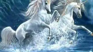 Cavalli & Unicorni