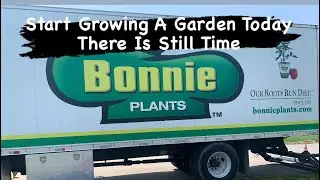 How to Start a Garden Late / Seed or Plant /  Grow your own food #gardening #homesteading