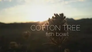 Cotton Tree - Fish Bowl (Official Video)