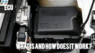 What is ECU and how does it work?