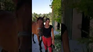 Elodie capp&eacute; administrateur et secr&eacute;taire de l association des commer&ccedil;ants de chaource