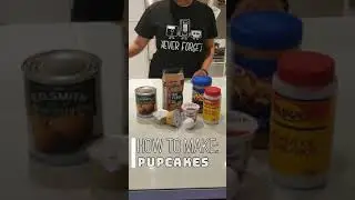 How To Make: Pupcakes (Cupcakes for Dogs)
