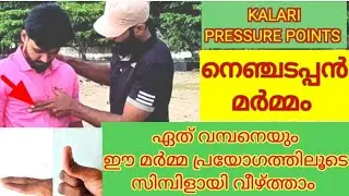 ഏത് വമ്പനെയും ഇനി ഈ നെഞ്ചടപ്പൻ മർമ്മ പ്രയോഗത്തിലൂടെ വീഴ്ത്താം Kalari pressure point  self-defense