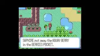 How to get Aguav Berry in Pokemon Sapphire