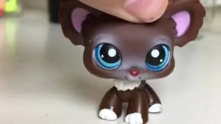 LPS Updates