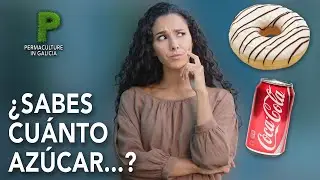 Az&uacute;car - Cantidad de azucar en las bebidas y alimentos procesados - Permacultura en Galicia